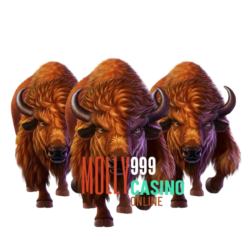 WWW UFA6666 COM
